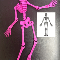 Articulated Skelly! Choose Color